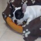 a dormir q ya he trabajao muxo